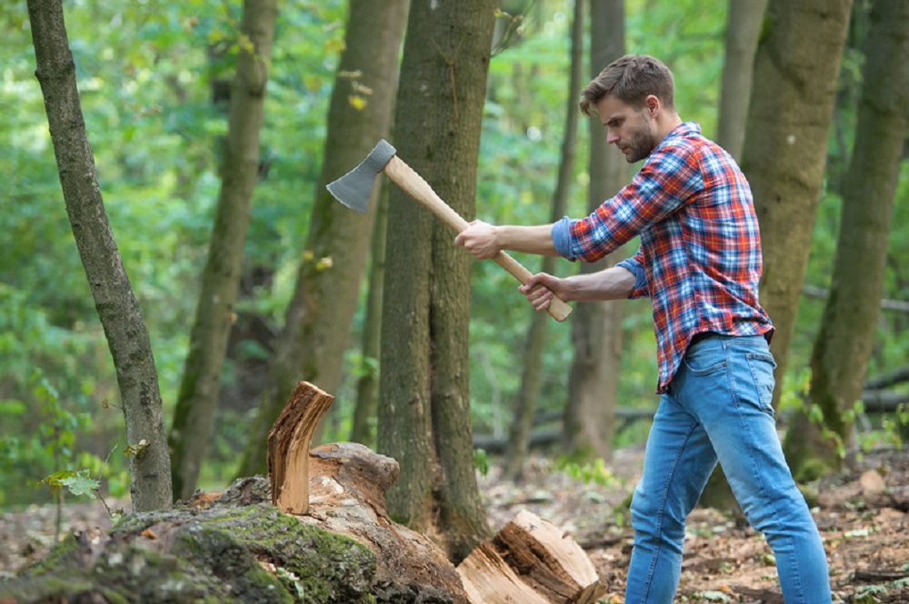 lumberjack chopping wood
