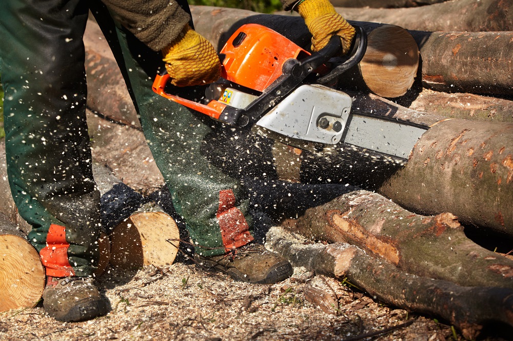cutting logs with a chainsaw